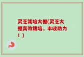 灵芝栽培大棚(灵芝大棚高效栽培，丰收助力！)