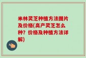 米林灵芝种植方法图片及价格(高产灵芝怎么种？价格及种植方法详解)