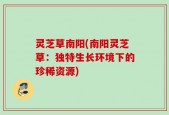 灵芝草南阳(南阳灵芝草：独特生长环境下的珍稀资源)
