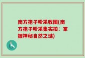 南方孢子粉采收图(南方孢子粉采集实拍：掌握神秘自然之谜)