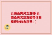 云南桑黄灵芝直播(云南桑黄灵芝直播带你领略奇妙的自然界！)