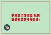 耿美玉灵芝破壁(耿美玉解密灵芝神秘面纱)