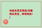 坟后长灵芝预兆(坟墓现长灵芝，神奇预兆！)