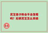 灵芝孢子粉会不会发霉吗？无柄灵芝怎么采摘