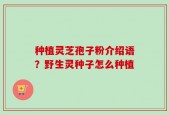 种植灵芝孢子粉介绍语？野生灵种子怎么种植