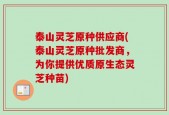 泰山灵芝原种供应商(泰山灵芝原种批发商，为你提供优质原生态灵芝种苗)