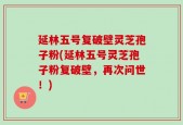 延林五号复破壁灵芝孢子粉(延林五号灵芝孢子粉复破壁，再次问世！)