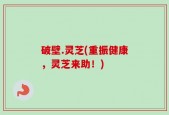 破壁.灵芝(重振健康，灵芝来助！)