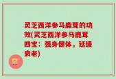 灵芝西洋参马鹿茸的功效(灵芝西洋参马鹿茸四宝：强身健体，延缓衰老)