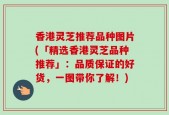香港灵芝推荐品种图片(「精选香港灵芝品种推荐」：品质保证的好货，一图带你了解！)