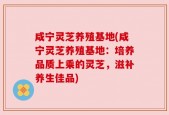 咸宁灵芝养殖基地(咸宁灵芝养殖基地：培养品质上乘的灵芝，滋补养生佳品)