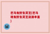 巴马有野生灵芝(巴马现有野生灵芝资源丰富)