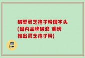 破壁灵芝孢子粉国字头(国内品牌破浪 重磅推出灵芝孢子粉)