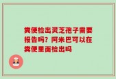 粪便检出灵芝孢子需要报告吗？阿米巴可以在粪便里面检出吗