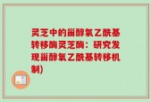灵芝中的甾醇氧乙酰基转移酶灵芝酶：研究发现甾醇氧乙酰基转移机制)