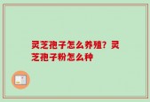 灵芝孢子怎么养殖？灵芝孢子粉怎么种