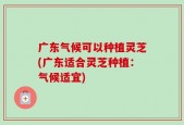 广东气候可以种植灵芝(广东适合灵芝种植：气候适宜)