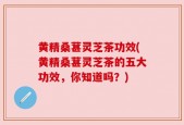 黄精桑葚灵芝茶功效(黄精桑葚灵芝茶的五大功效，你知道吗？)