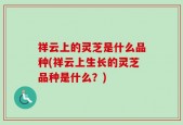 祥云上的灵芝是什么品种(祥云上生长的灵芝品种是什么？)
