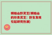 桐柏山野灵芝(桐柏山的珍贵灵芝：野生发现引起研究热潮)
