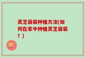 灵芝袋装种植方法(如何在家中种植灵芝袋装？)