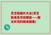 灵芝路图片大全(灵芝路美景尽收眼底——图文并茂的精美图集)