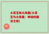 小灵芝和火凤凰(小灵芝与火凤凰：神秘的魔法之旅)