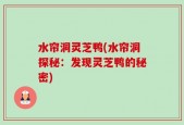 水帘洞灵芝鸭(水帘洞探秘：发现灵芝鸭的秘密)