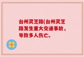 台州灵芝路(台州灵芝路发生重大交通事故，导致多人伤亡。