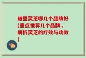 破壁灵芝哪几个品牌好(重点推荐几个品牌，解析灵芝的疗效与功效)