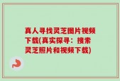 真人寻找灵芝图片视频下载(真实探寻：搜索灵芝照片和视频下载)