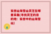 妄想山海雪山灵芝在哪里采集(寻找灵芝的目的地：妄想中的山海雪山)