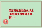 灵芝种植盆栽怎么填土(如何填土种植灵芝盆栽？)