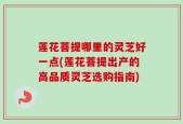 莲花菩提哪里的灵芝好一点(莲花菩提出产的高品质灵芝选购指南)