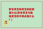 野生灵芝和灵芝的区别是什么(野生灵芝与栽培灵芝的不同点是什么？)