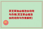 灵芝草加山楂泡水功效与作用(灵芝草山楂泡水的功效与作用解析)