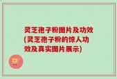 灵芝孢子粉图片及功效(灵芝孢子粉的惊人功效及真实图片展示)