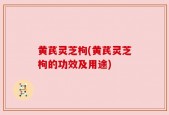 黄芪灵芝枸(黄芪灵芝枸的功效及用途)