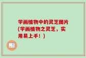 学画植物中的灵芝图片(学画植物之灵芝，实用易上手！)
