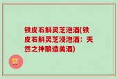 铁皮石斛灵芝泡酒(铁皮石斛灵芝浸泡酒：天然之神酿造美酒)