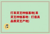 打易灵芝种植基地(易灵芝种植基地：打造高品质灵芝产地)