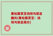 黑松露灵芝功效与禁忌图片(黑松露灵芝：功效与禁忌简介)
