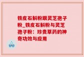 铁皮石斛粉跟灵芝孢子粉_铁皮石斛粉与灵芝孢子粉：珍贵草药的神奇功效与应用