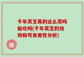 千年灵芝真的这么灵吗能吃吗(千年灵芝的功效和可食用性分析)