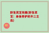 野生灵芝效果(野生灵芝：身体养护的不二之选)