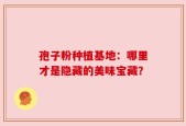 孢子粉种植基地：哪里才是隐藏的美味宝藏？