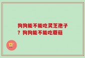 狗狗能不能吃灵芝孢子？狗狗能不能吃蘑菇