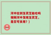 河中捡到玉灵芝能吃吗视频河中发现玉灵芝，是否可食用？)