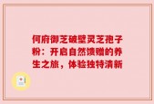 何府御芝破壁灵芝孢子粉：开启自然馈赠的养生之旅，体验独特清新