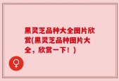 黑灵芝品种大全图片欣赏(黑灵芝品种图片大全，欣赏一下！)